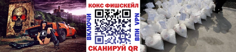 закладка  hydra вход  КОКАИН FishScale  Каргополь 