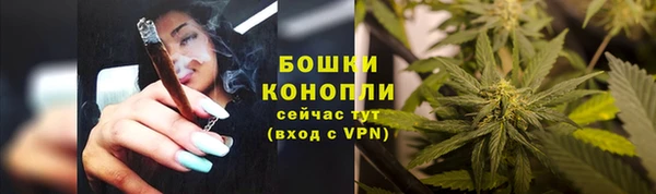 не бодяженный Дмитров
