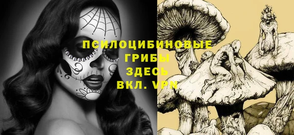 синтетический гашиш Дмитриев