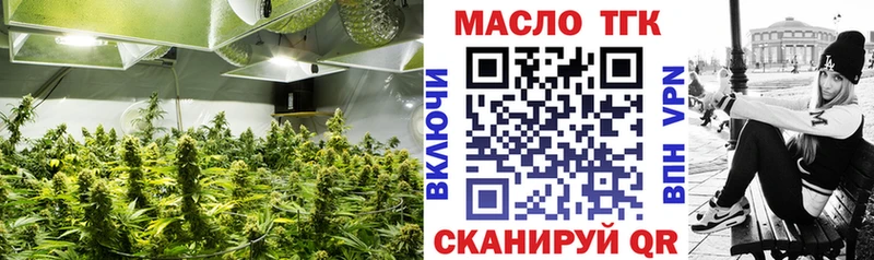 магазин    Каргополь  ТГК Wax 